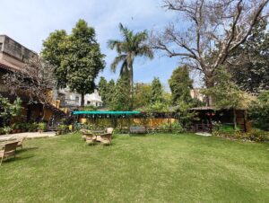 garden